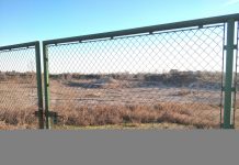 Vasca più piccola e area verde. L’idea del M5S per la Pirossina