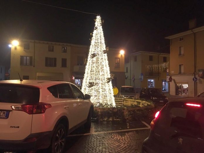 ALBERO DI GOITO