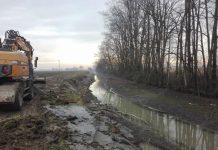 Sponde martoriate dalle nutrie Lavori sugli argini del Trigolaro lavori consorzio