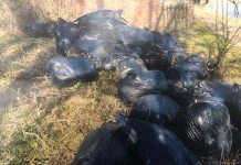 Sessanta sacchi di rifiuti speciali abbandonati sotto il ponte della Mn-Cr