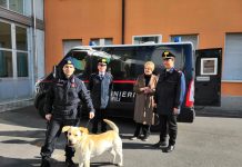 Carabinieri: controlli antidroga al “Bosco” di Viadana