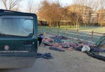 Bracconaggio, sei rumeni condannati a 16 mesi per la pesca di frodo nel lago