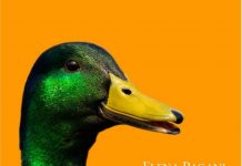 Messer Verdelatesta si presenta al Caffè Venezia