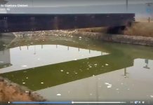 Schiume lungo il canale, arrivano i controlli inquinamento