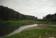 Isola Cirene, Aipo rassicura: a breve il bando