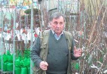 Come curare e mantenere gli alberi da frutto: un corso a La Valle dei Fiori