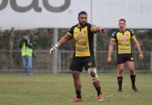 Rugby – Viadana ritrova la via del successo ruby