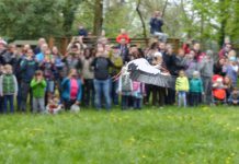 Lo spettacolo delle cicogne al Parco Bertone