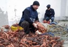 Rame rubato dalle linee ferroviarie: in tre finiscono sotto accusa della Dda di Brescia