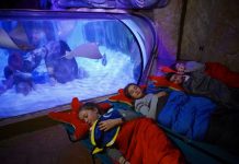 Per la festa del papà esperienze uniche a Gardaland Sea Life