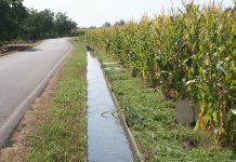 Scatta l’emergenza siccità: via all’invaso dei canali delle bonifiche