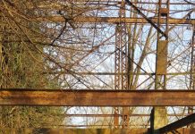 Un gruppo numeroso di piccoli e grandi alla camminata organizzata nel progetto Pedibus