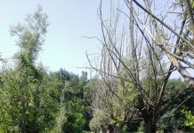 Sabato visita naturalistica nell’area umdida di Valle a Castiglione