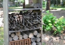 Quattro “beehotel” lungo il Chiese: la casa delle api