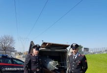 Furto in un’azienda agricola: due in manette