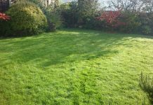 Siccità, Coldiretti: erba medica e prati stabili in difficoltà