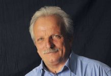 Alberi pericolosi, nuova piantumazione in via Roma