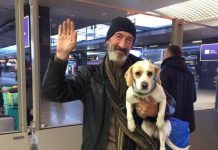 Volatilizzato il clochard: Francesco e il suo cane piantano in asso tutti