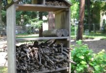 Giochi inclusivi e casette per le api Il parco del Chiese a nuovo