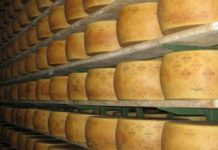 Grana Padano: da mezzanotte lo stop ai dazi Usa