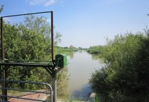 Pioggia nella Bassa, ma non abbastanza nel Destra Secchia