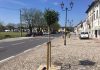 S. Martino, nuove piante per ridisegnare piazza Matteotti