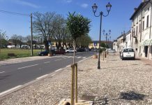 S. Martino, nuove piante per ridisegnare piazza Matteotti