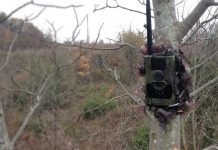 Telecamere per stanare i furbetti dei rifiuti: a Porto il plauso della Regione