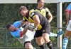 Rugby Top 12 – Viadana insegue l’ultima vittoria Antonio Denti