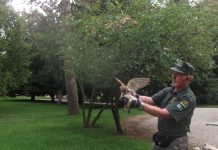 Al via la formazione per 40 nuovi volontari per l’ambiente