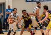 Basket C Gold Poule Salvezza – Sesa, caccia ai 2 punti contro Opera