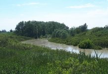 Preoccupa la piena del Secchia: il colmo oggi a Quistello