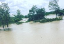 Il Secchia continua a salire. Colmo di piena stanotte