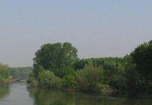 Bioblitz: 24 ore alla scoperta della natura del Parco Oglio Sud