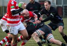 Rugby serie B – Caimani, congedo amaro a Casale