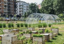 Orti sociali urbani a Borgo Virgilio: due incontri con i cittadini