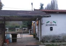 Colpita dal cavallo, guarita dopo sei mesi di calvario