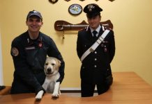 Beccato a Ostiglia uno spacciatore, sequestrato anche l’elenco dei clienti