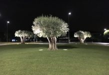 Castiglione, Indecast: “Al lavoro per una cittadina più bella”