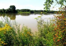 Il Po Grande sito Unesco? Oggi si attende il verdetto a Parigi