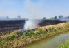 Incendio in un’azienda agricola, in fumo 24 ettari di grano