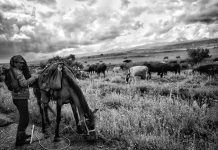 Eterotopie al via con Hayastan