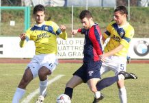 Calciomercato dilettanti – Il Castiglione balla sulle punte: Triglia o Maccabiti? Maccabiti ai tempi della prima esperienza al Castiglione