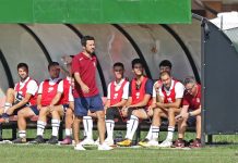 Calcio Promozione – Novellini: “Sporting Club, proseguiamo la crescita” novel