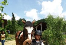 Equitazione – Motteggiana capitale del Trec trec