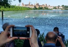 Dai trigoli ai picchi: il meraviglioso mondo del lago di Mezzo