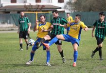 Calciomercato dilettanti – Tre colpi del San Lazzaro: Turmanidze e i baby Mortara e Tosi. Omorogieva vicino al Casalromano turma