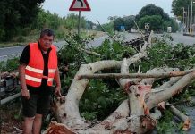 Tromba d’aria su Bozzolo e Viadana: immobili scoperchiati e alberi sradicati