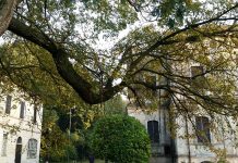 Centro estivo per bambini al Parco delle Bertone