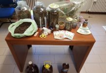 Canapa… non legale. Un arresto e una denuncia